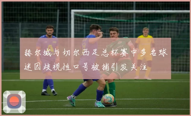 赫尔城与切尔西足总杯赛中多名球迷因歧视性口号被捕引发关注